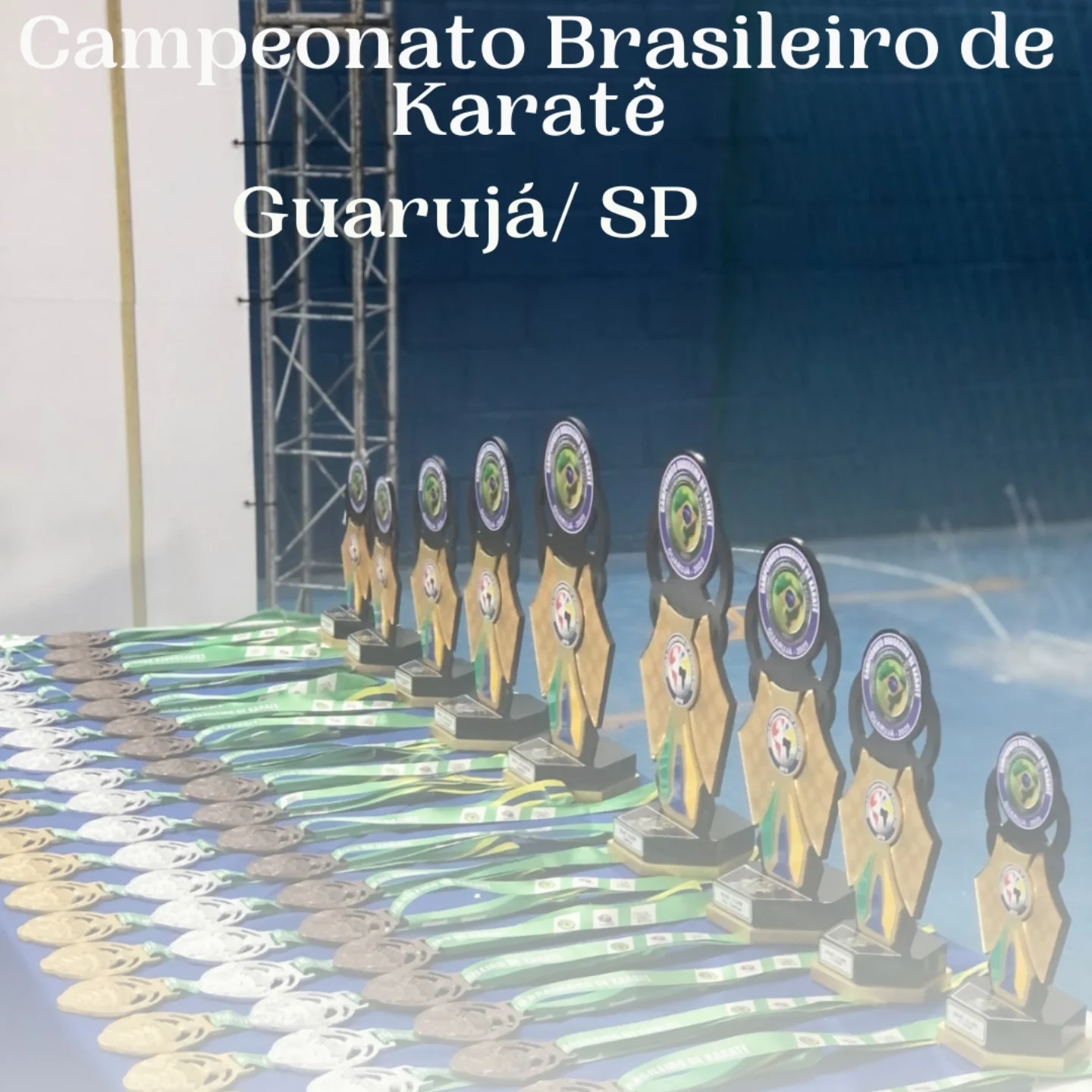 Troféus e medalhas do Campeonato Brasileiro de Karatê em Guarujá/SP